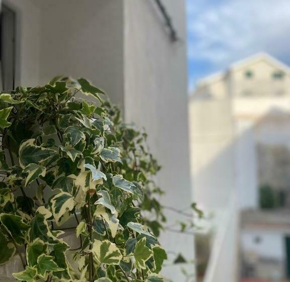 Номер Стандарт, Viesterooms