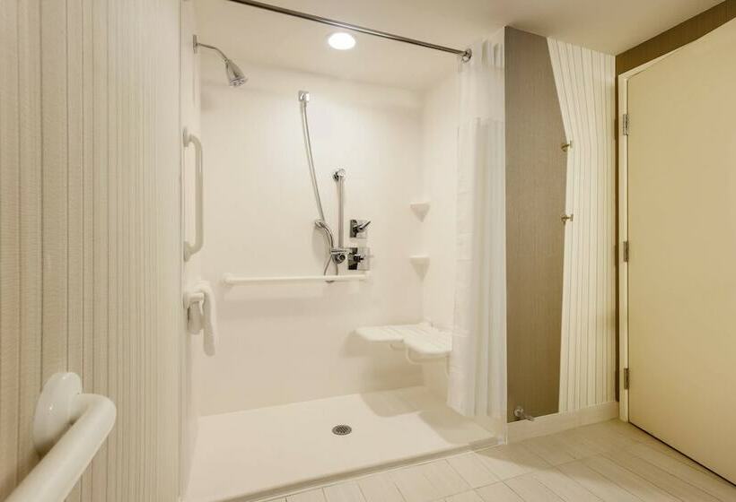 이그제큐티브 룸, Courtyard By Marriott Dallas Midlothian At Midlothian Conference Center