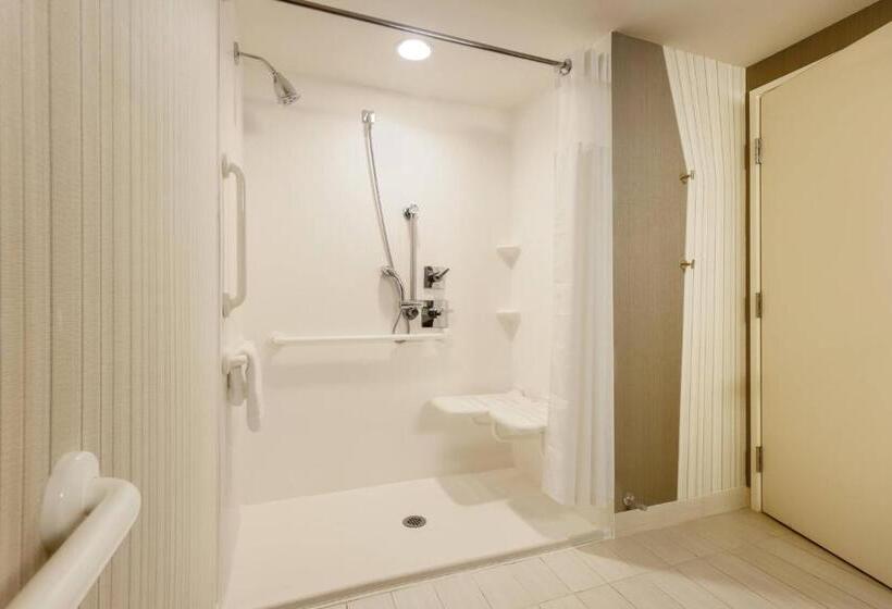 스탠다드 룸 킹사이즈 침대, Courtyard By Marriott Dallas Midlothian At Midlothian Conference Center