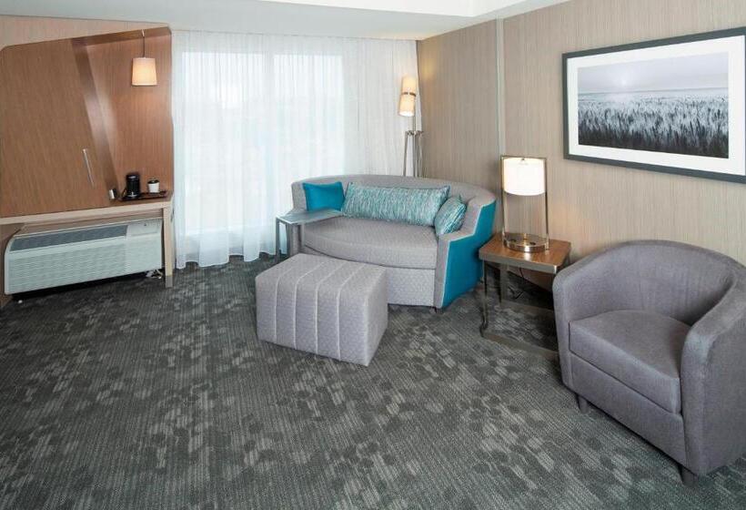 스탠다드 룸 킹사이즈 침대, Courtyard By Marriott Dallas Midlothian At Midlothian Conference Center