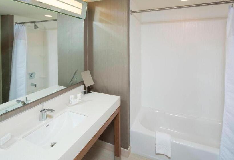 스탠다드 룸, Courtyard By Marriott Dallas Midlothian At Midlothian Conference Center