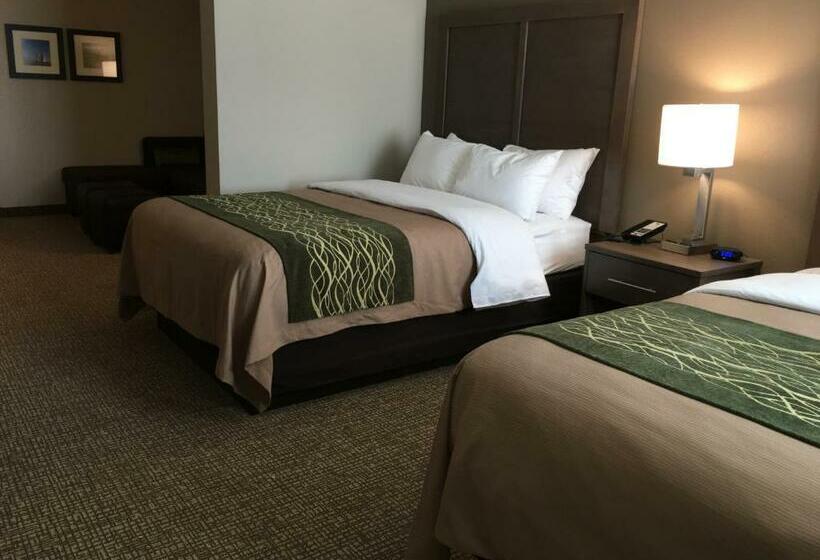 Номер Стандарт, Comfort Inn & Suites Snyder