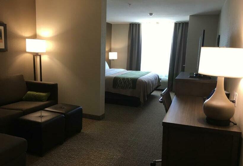 Люкс Адаптированный для Инвалидов, Comfort Inn & Suites Snyder