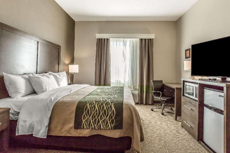 Стандартный Номер Кровать Кинг, Comfort Inn & Suites Snyder