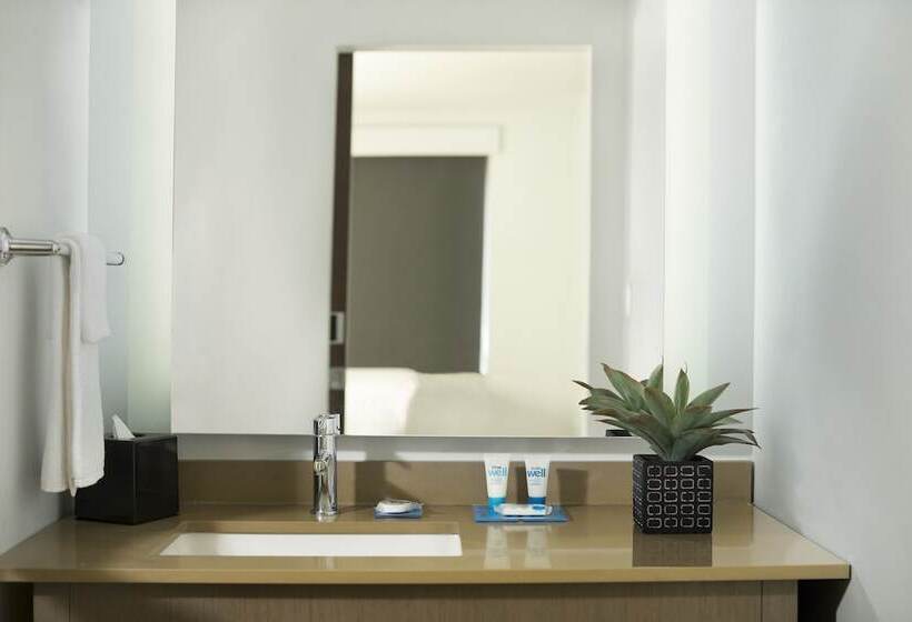 Люкс Адаптированный для Инвалидов, Hyatt House Dallas/frisco