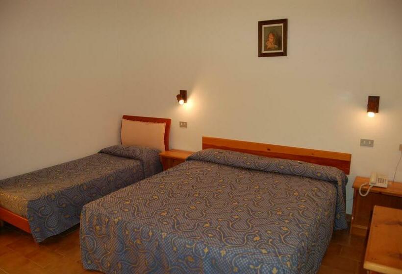 Quarto Triplo Estandar, Anfora