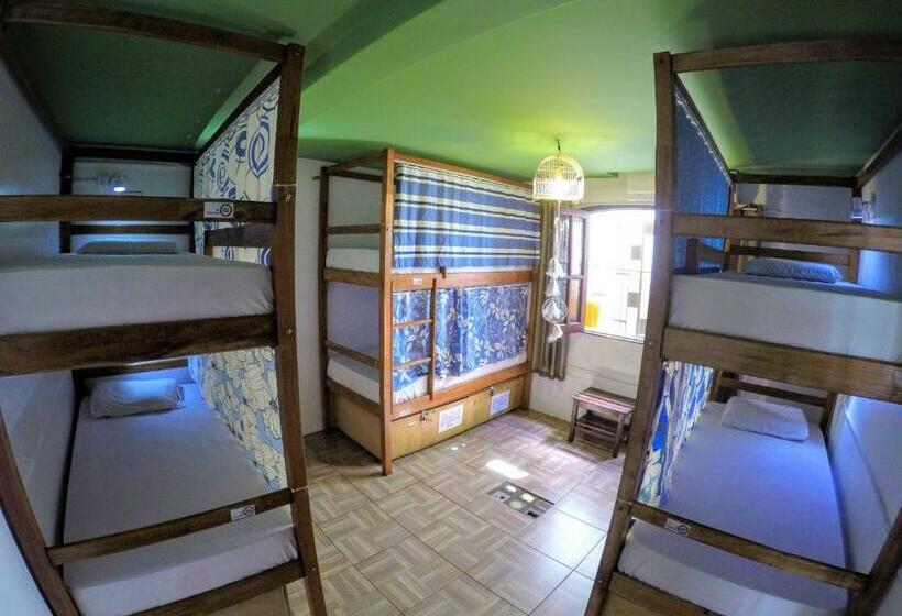 공동 객실, Local Hostel Manaus