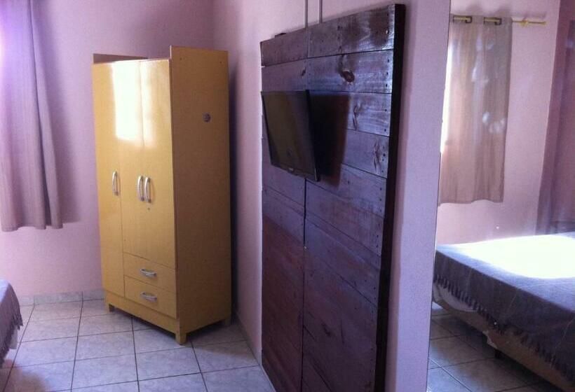 Номер Стандарт, 50