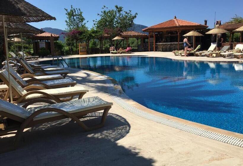 Standard Room Pool View, Asur Hotel & Aparts & Villas