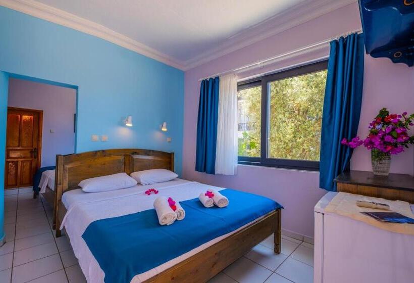 Chambre Quadruple Standard Vue Jardin, Selim Pansiyon   Adults Only