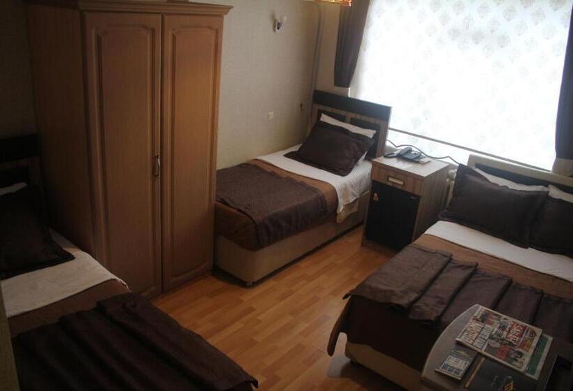 اتاق استاندارد سه نفره, Aydogan