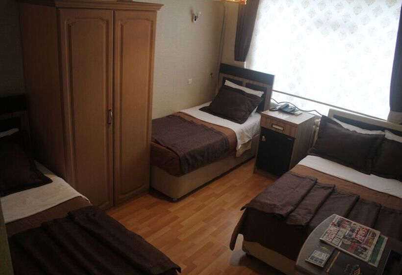 اتاق استاندارد سه نفره, Aydogan