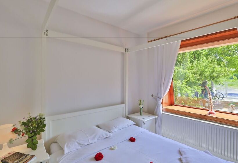 اتاق استاندارد, Mints Hotel   Adult Only