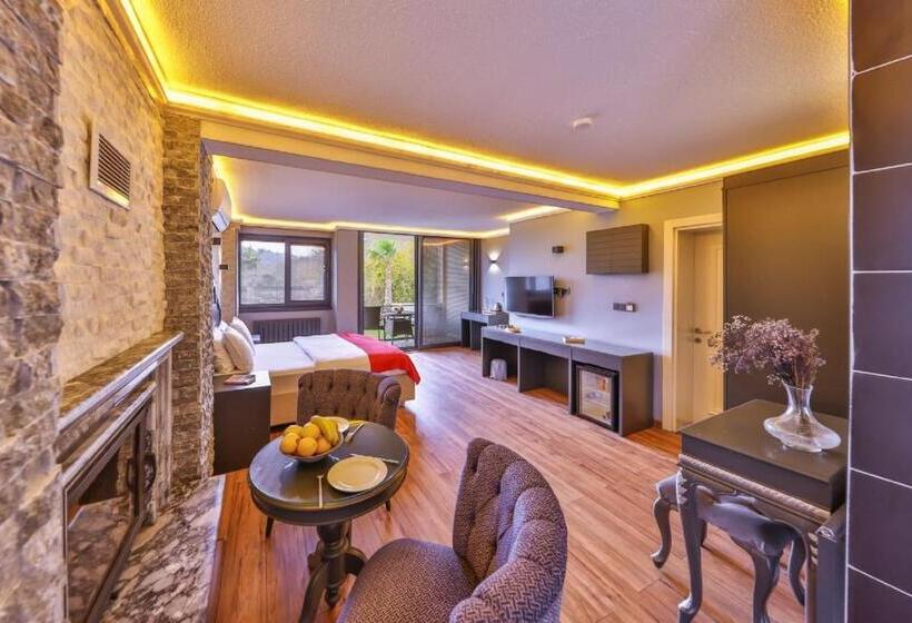 اتاق استاندارد, Mints Hotel   Adult Only