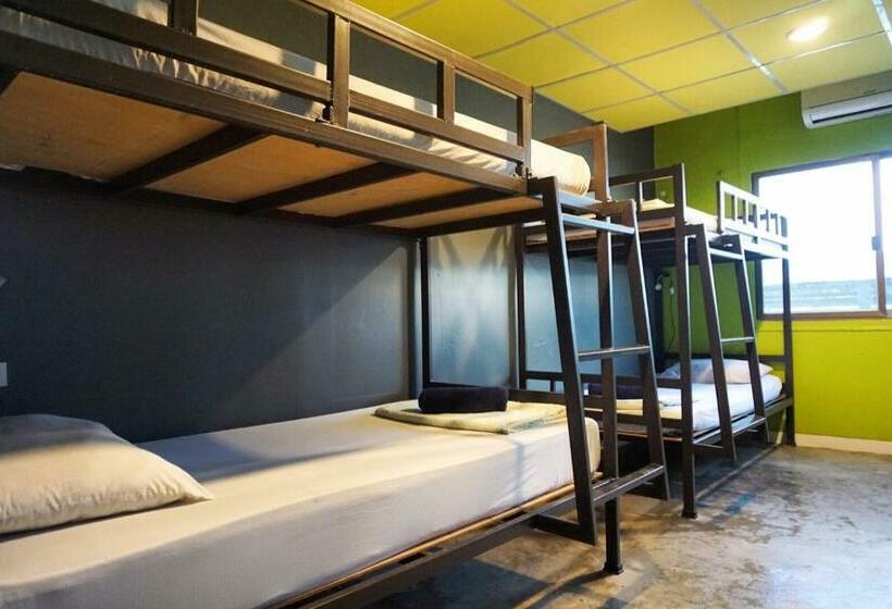 공동 객실, B&b House & Hostel