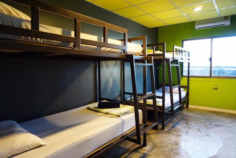 공동 객실, B&b House & Hostel
