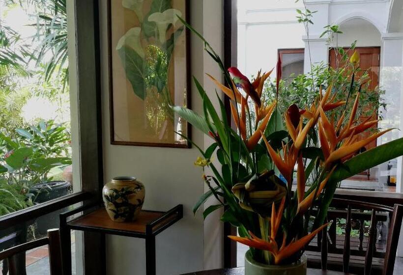 اتاق استاندارد با چشم‌انداز کوهستان, Villa Albizia, Chiang Mai