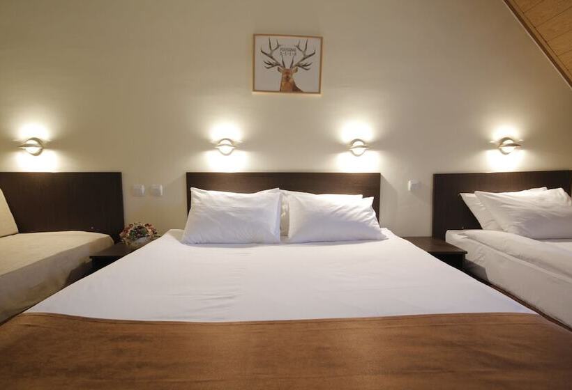 اتاق استاندارد, Junior