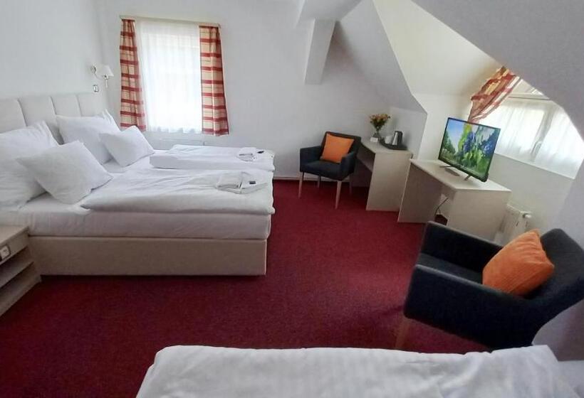 اتاق استاندارد سه نفره, Hradec