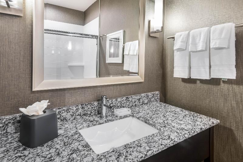 Номер Стандарт, Holiday Inn Hotel & Suites Silicon Valley – Milpitas, An Ihg