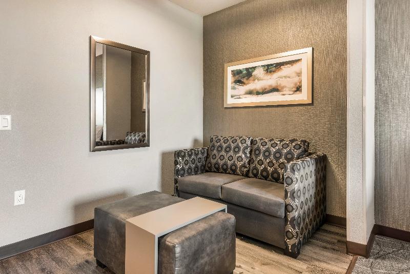 Номер Стандарт, Holiday Inn Hotel & Suites Silicon Valley – Milpitas, An Ihg
