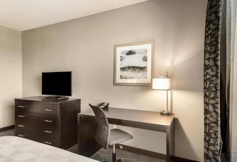 Студия Стандарт, Holiday Inn Hotel & Suites Silicon Valley – Milpitas, An Ihg