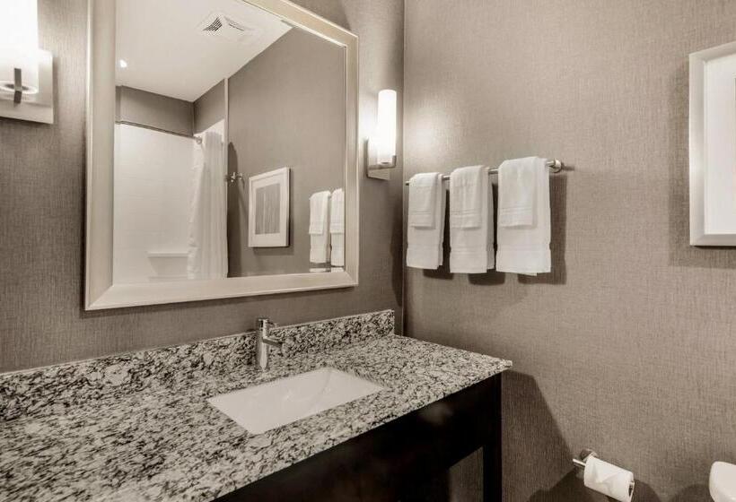 Студия Стандарт, Holiday Inn Hotel & Suites Silicon Valley – Milpitas, An Ihg