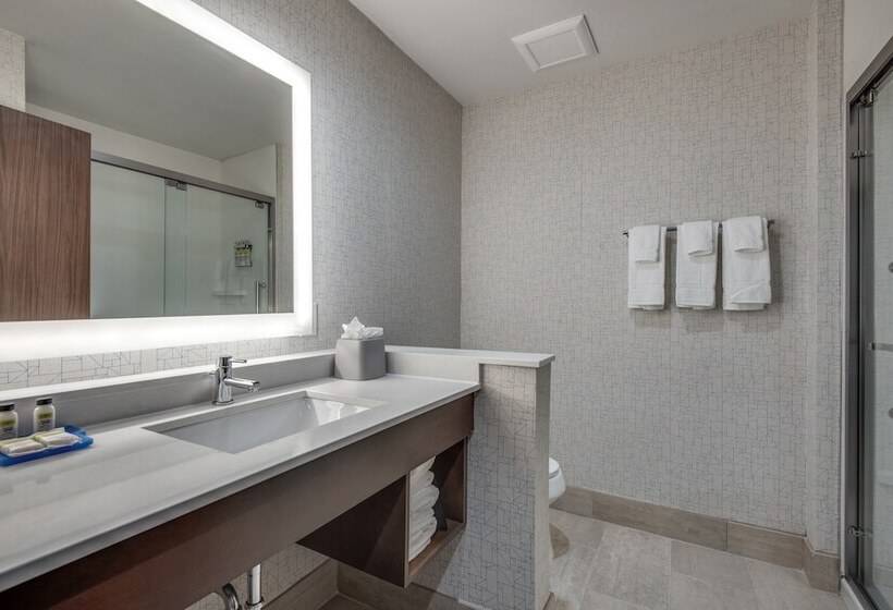 Suite, Holiday Inn Express & Suites Dallas North   Addison, An Ihg