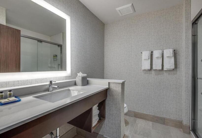 Pokój Typu Standard Łóżko King Przystosowany dla Osób Niepełnosprawnych, Holiday Inn Express & Suites Dallas North   Addison, An Ihg
