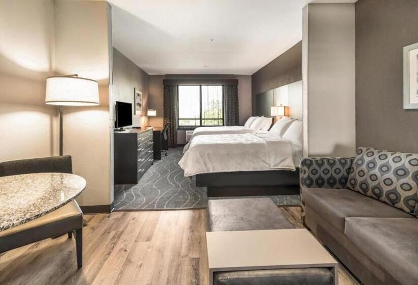 Люкс Адаптированный для Инвалидов, Holiday Inn Hotel & Suites Silicon Valley – Milpitas, An Ihg