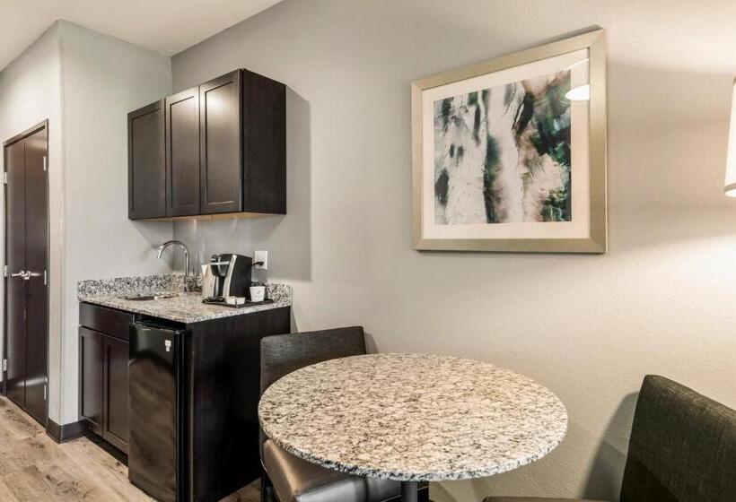 Люкс, Holiday Inn Hotel & Suites Silicon Valley – Milpitas, An Ihg