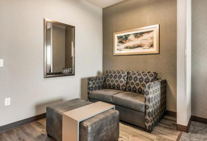Люкс Кровать Кинг, Holiday Inn Hotel & Suites Silicon Valley – Milpitas, An Ihg
