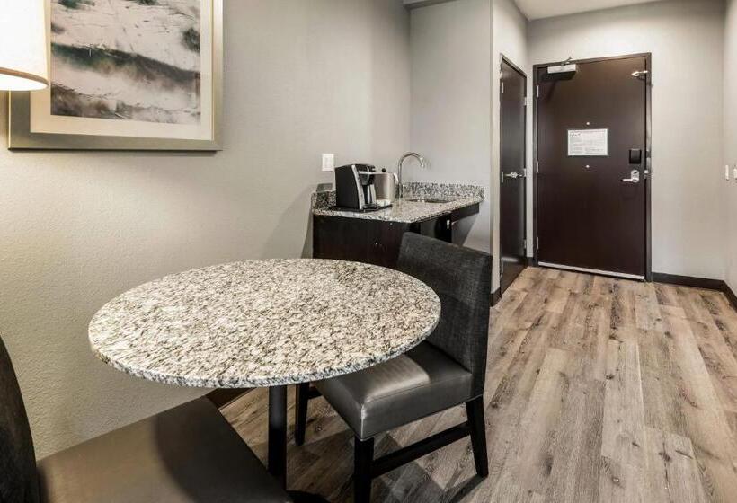 Люкс Кровать Кинг, Holiday Inn Hotel & Suites Silicon Valley – Milpitas, An Ihg