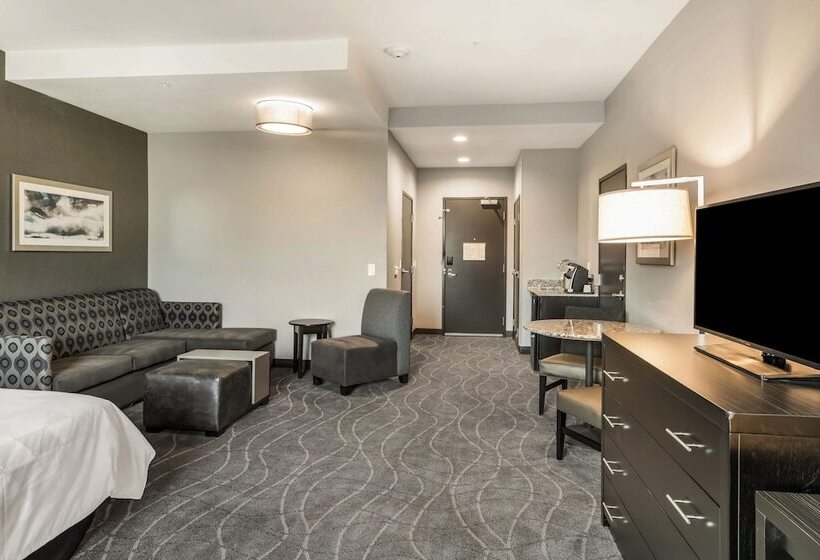 Люкс Адаптированный для Инвалидов, Holiday Inn Hotel & Suites Silicon Valley – Milpitas, An Ihg
