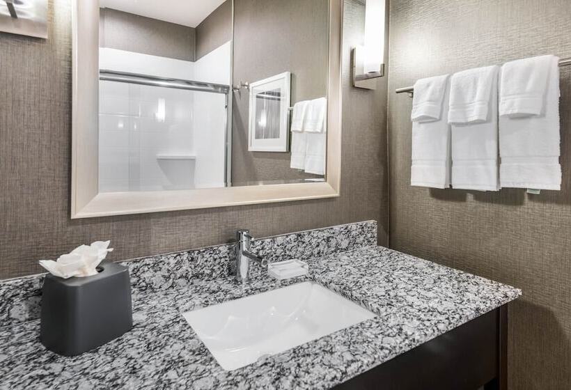 Люкс Адаптированный для Инвалидов, Holiday Inn Hotel & Suites Silicon Valley – Milpitas, An Ihg