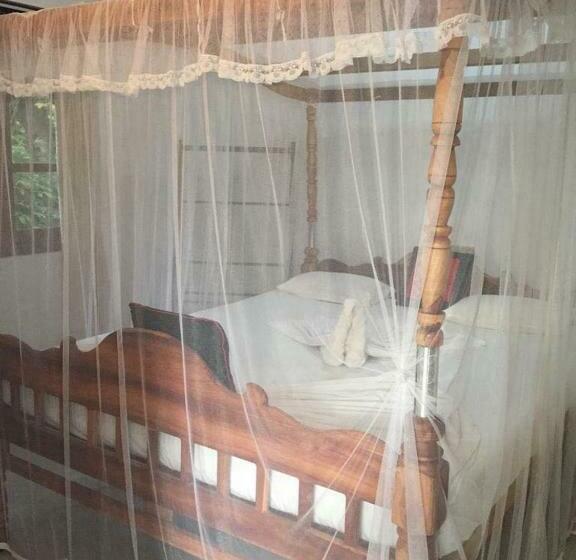 Номер Стандарт, Damith Guest House