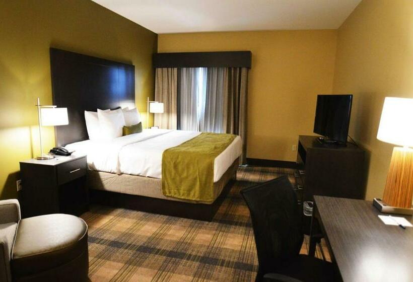 キングサイズベッドのスタンダードルーム, Best Western Plus New Orleans Airport