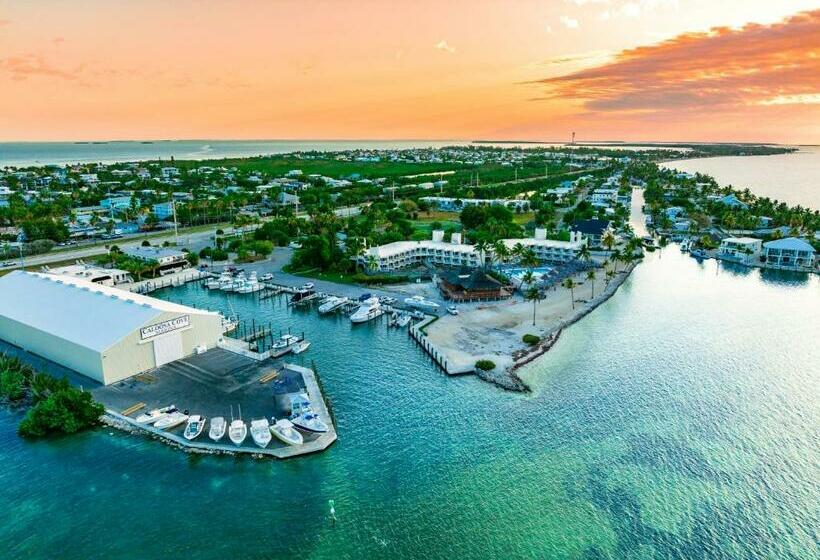 １ベッドルームアパートメント, Caloosa Cove Resort