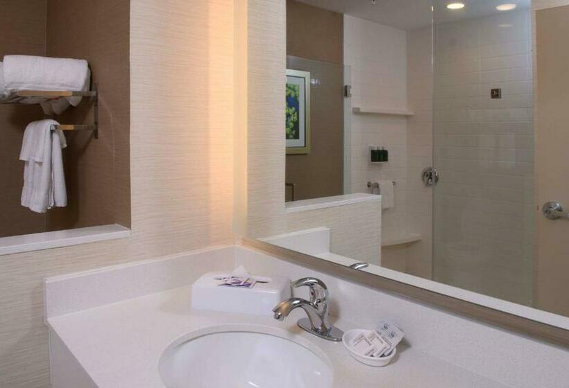 Люкс Кровать Кинг, Fairfield Inn & Suites By Marriott Richmond Ashland