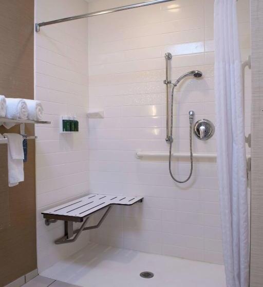 Люкс Кровать Кинг, Fairfield Inn & Suites By Marriott Richmond Ashland