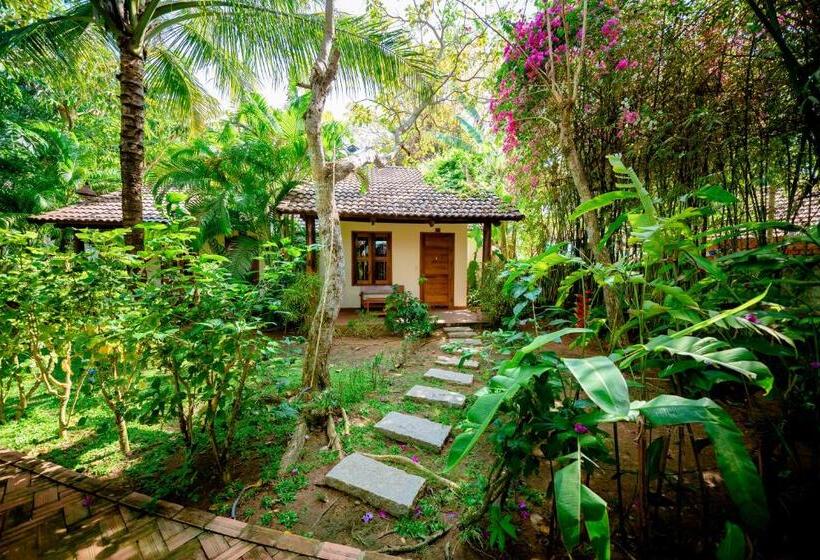 Superior bungalow garden view, La Mer Resort, Phú Quốc