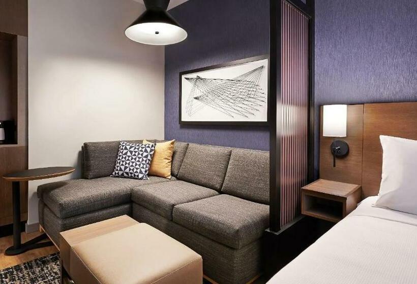 장애인을 위한 스탠다드 룸, Hyatt Place Albany/downtown
