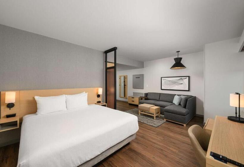 스탠다드 룸 킹사이즈 침대, Hyatt Place Albany/downtown