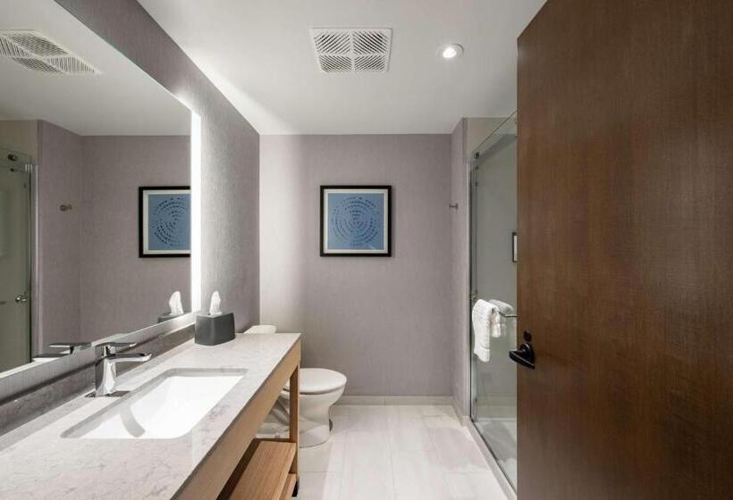 스탠다드 룸 킹사이즈 침대, Hyatt Place Albany/downtown