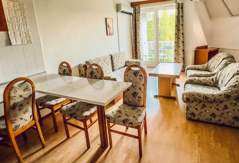 １ベッドルームのデラックスアパートメント, Villa Sederkyn