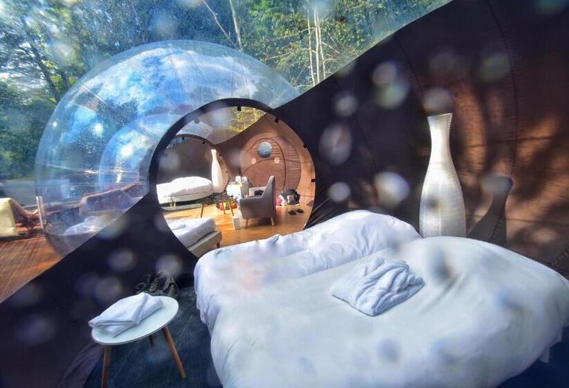 Family Suite, Chrysalide Saint Martin