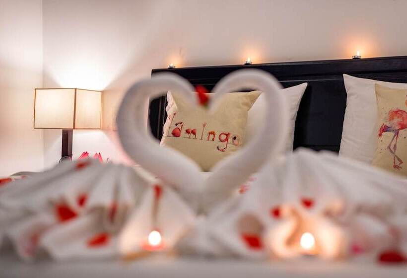 اتاق سوپریور, Flamingo Villa Hoi An