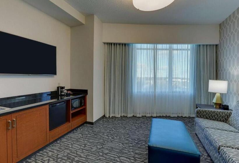 מיטת קינג בסוויטה, Drury Plaza Hotel Dallas Arlington