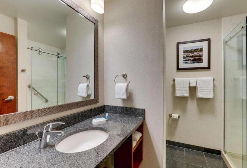 חדר דלוקס מותאם לאנשים עם מוגבלויות, Drury Plaza Hotel Dallas Arlington