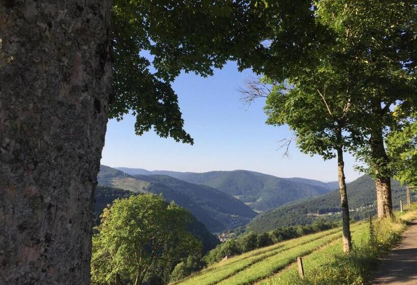 Апартаменты 1 Спальня с Террасой, Pension Glöcklehof